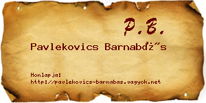 Pavlekovics Barnabás névjegykártya